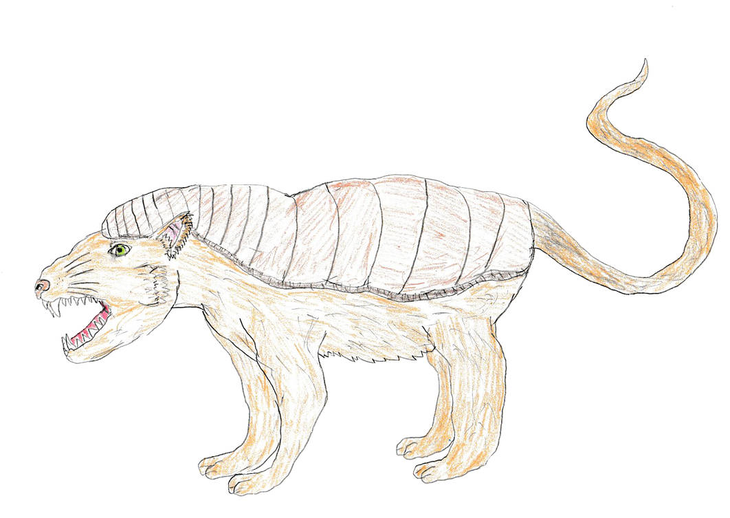 Creatures of Zaldor- Splinter Cat by Dinalfos5 on DeviantArt