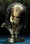 predator by taboada