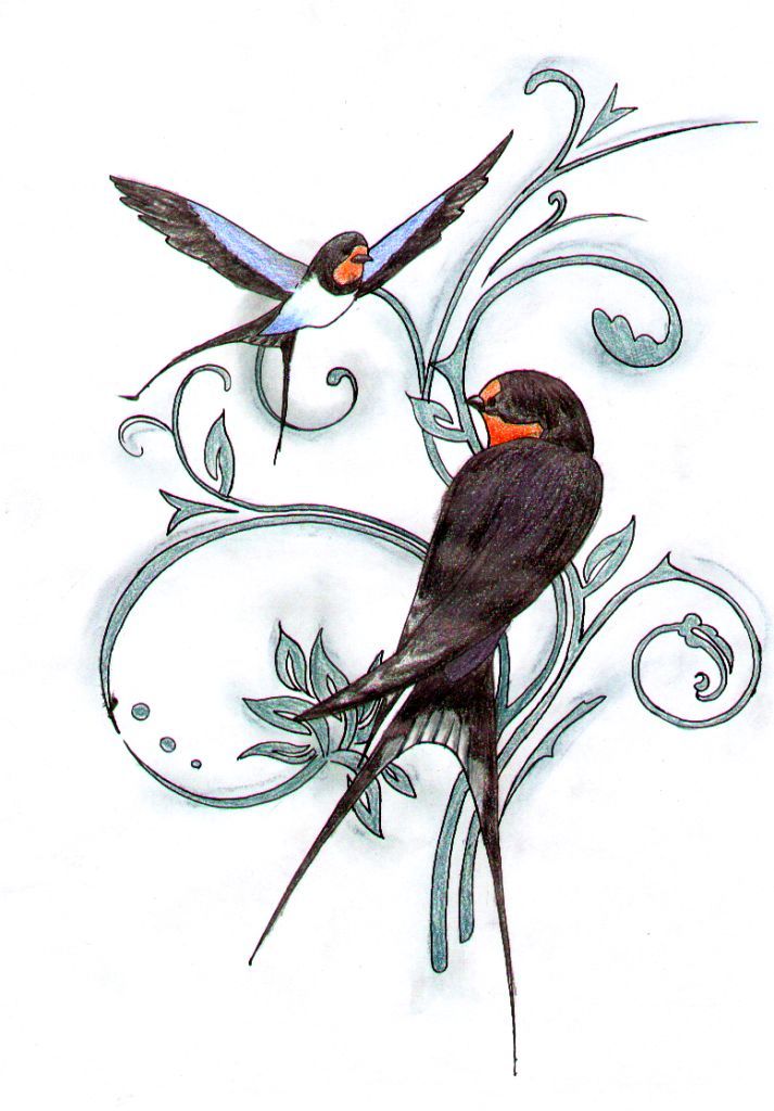 Swallows