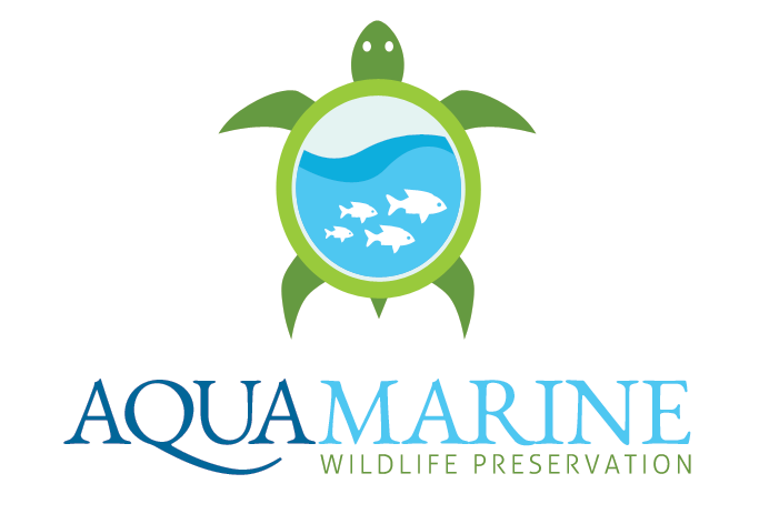 Aqua Marine Wildlife Logo