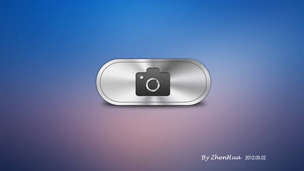 Camera button