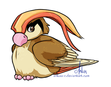 Day 8 - Pidgeot