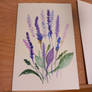 Simple lavander in watercolor