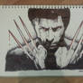 Biro Pen Drawing Wolverine