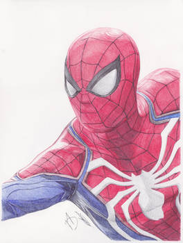 Spider Man Ballpoint Pen Drawing - DeMoose Art