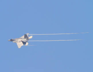 F-22 Raptor