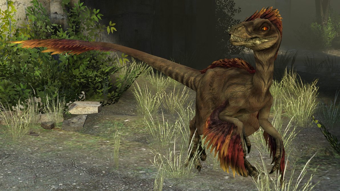 Raptor Study by Lyrefrost on DeviantArt