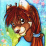 ACEO trade with Frenzy