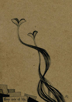 Grey side of life - cover