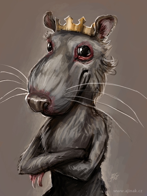 Rat king