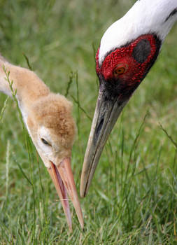 Eating with mom