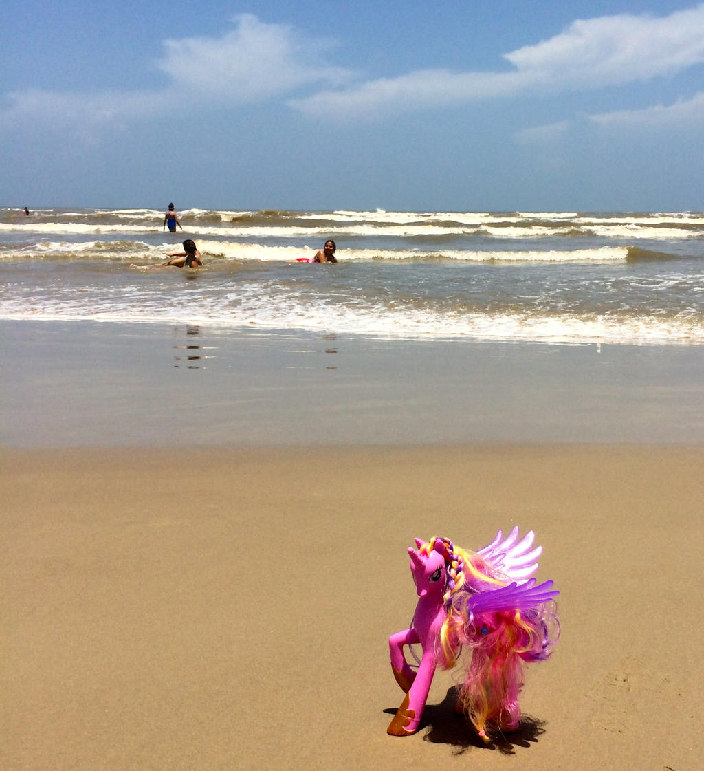 Princess Cadance at the beach