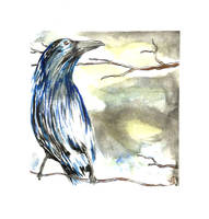 Water color crow