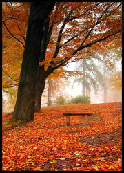 Under the red tree