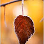 Warm me up