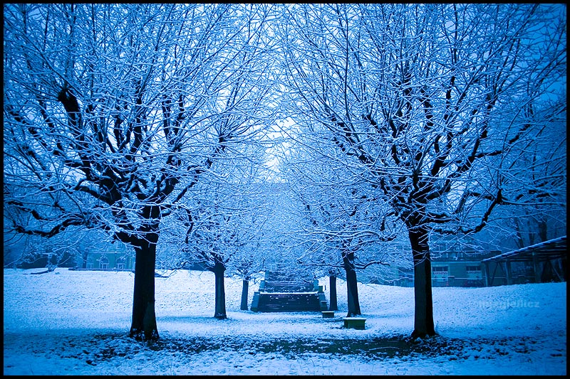Winter wonderland 2