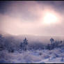 Magic winter