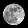 Full moon 090209