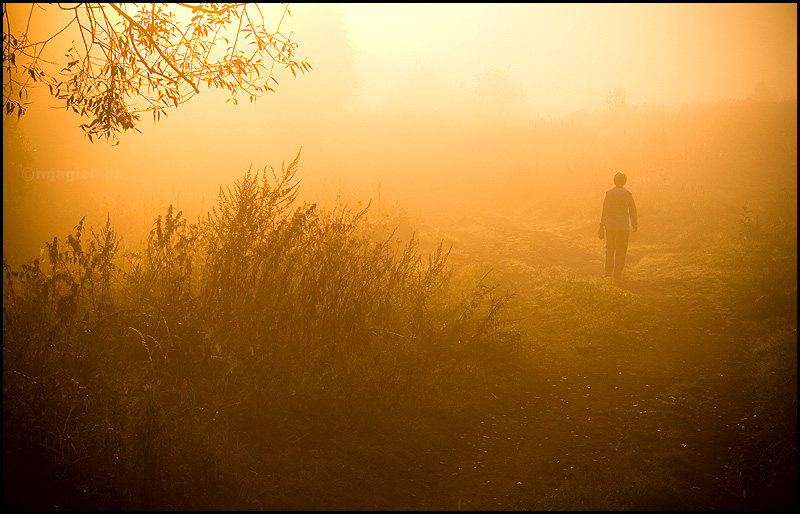 Lonely morning