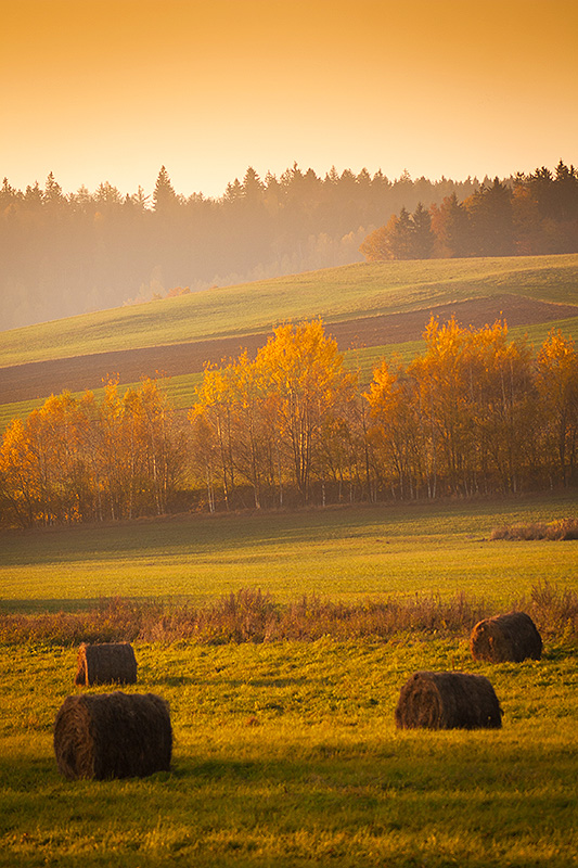 Polish landscape