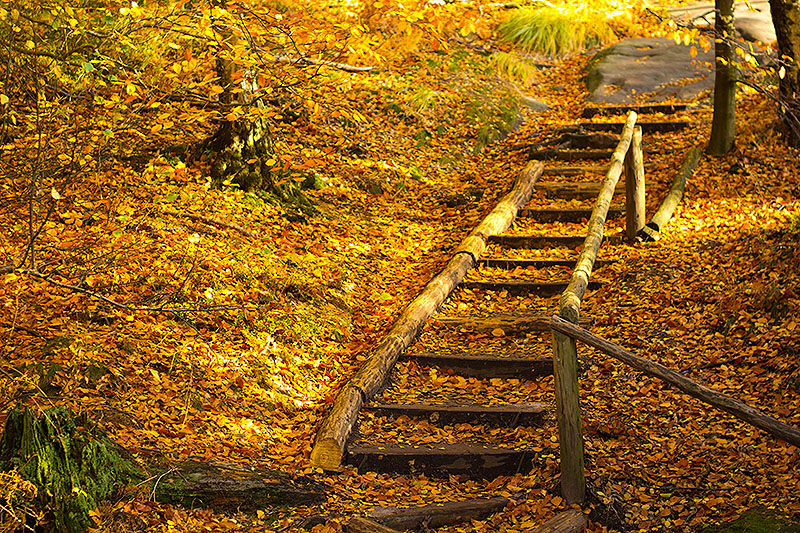 Saxon Switzerland 5