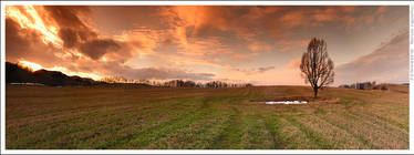 My place