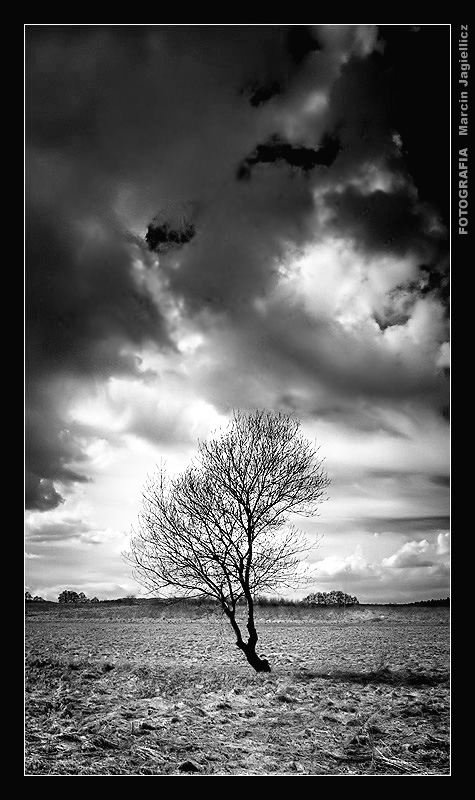 Between two worlds in bw