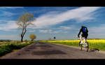Going back home by mjagiellicz
