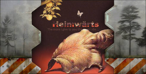Heimwarts