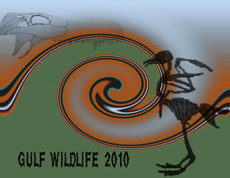 Gulf Wildlife 2010