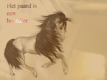 Het Paard is Een Hoefdier