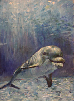 Dolphin