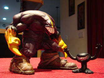 The Maxx Custom Figure