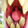 Piranha Plant Mouth