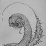 Centipede