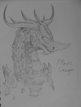 Plains Dragon