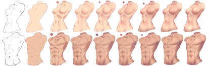 How I paint Torso - Female and Male