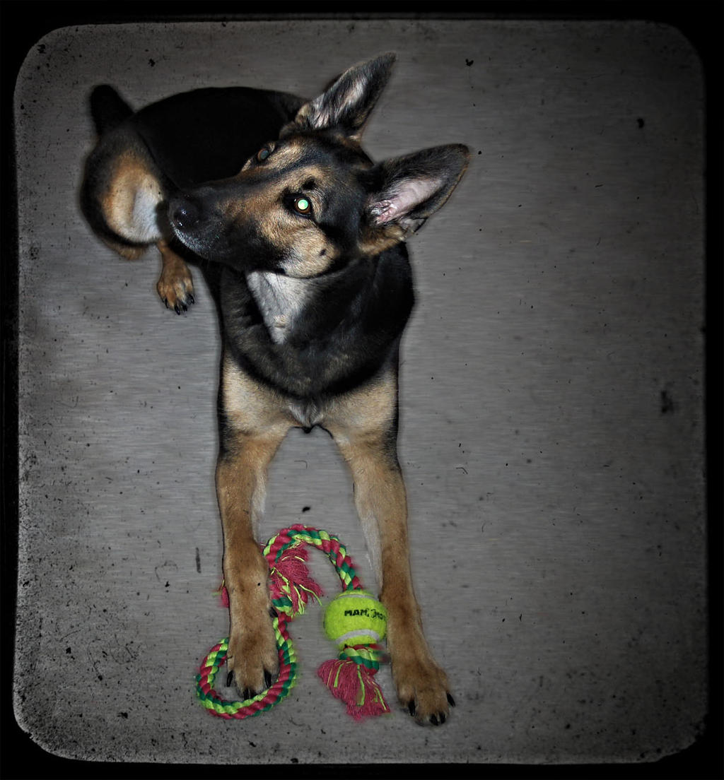 Radar O'Riley-- Ready to play! by 420jenni on DeviantArt