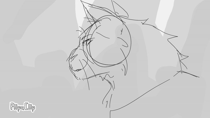 Cat Animation Test (Warrior Cats) by Hisoki777 on DeviantArt