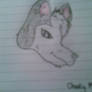 Husky Cartoon Drawing