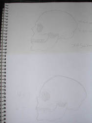 Skull Sketches