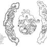 Mascadia World Map