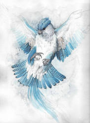 Articuno