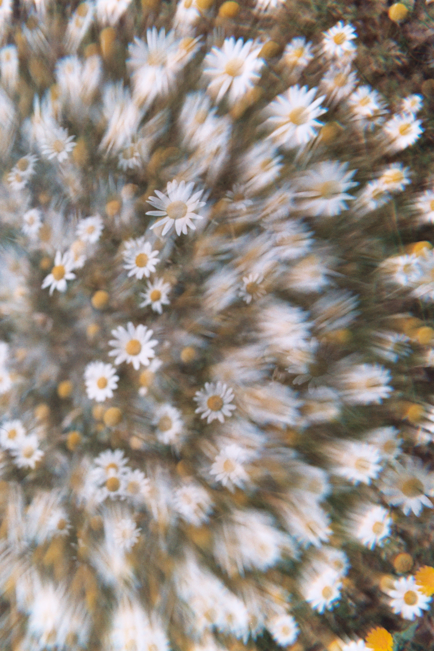 Aa011