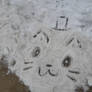 Snowcat :D