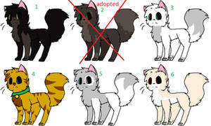 FREE WARRIOR ADOPTABLES~1-6