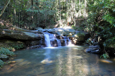 The Buderim Forest Waterfall No.3