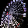 Ferris Wheel in the park No.2 (Clarke Place Park)