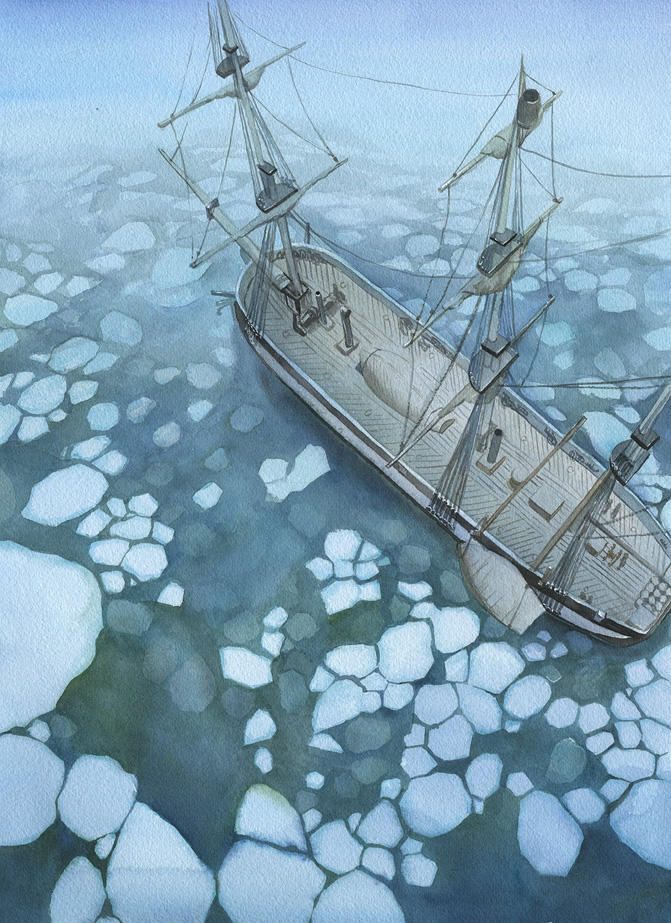 Arctic Seas