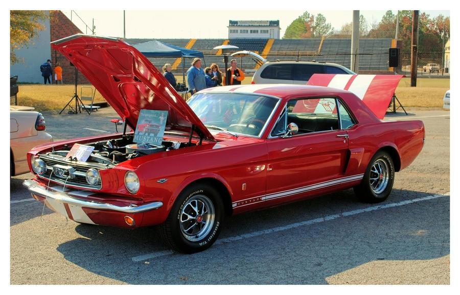 Cool Red Mustang